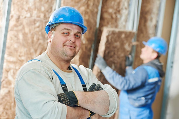 Best Spray Foam Insulation in Thayer, MO