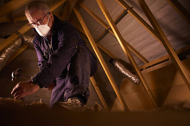 Best Eco-Friendly Insulation in Thayer, MO